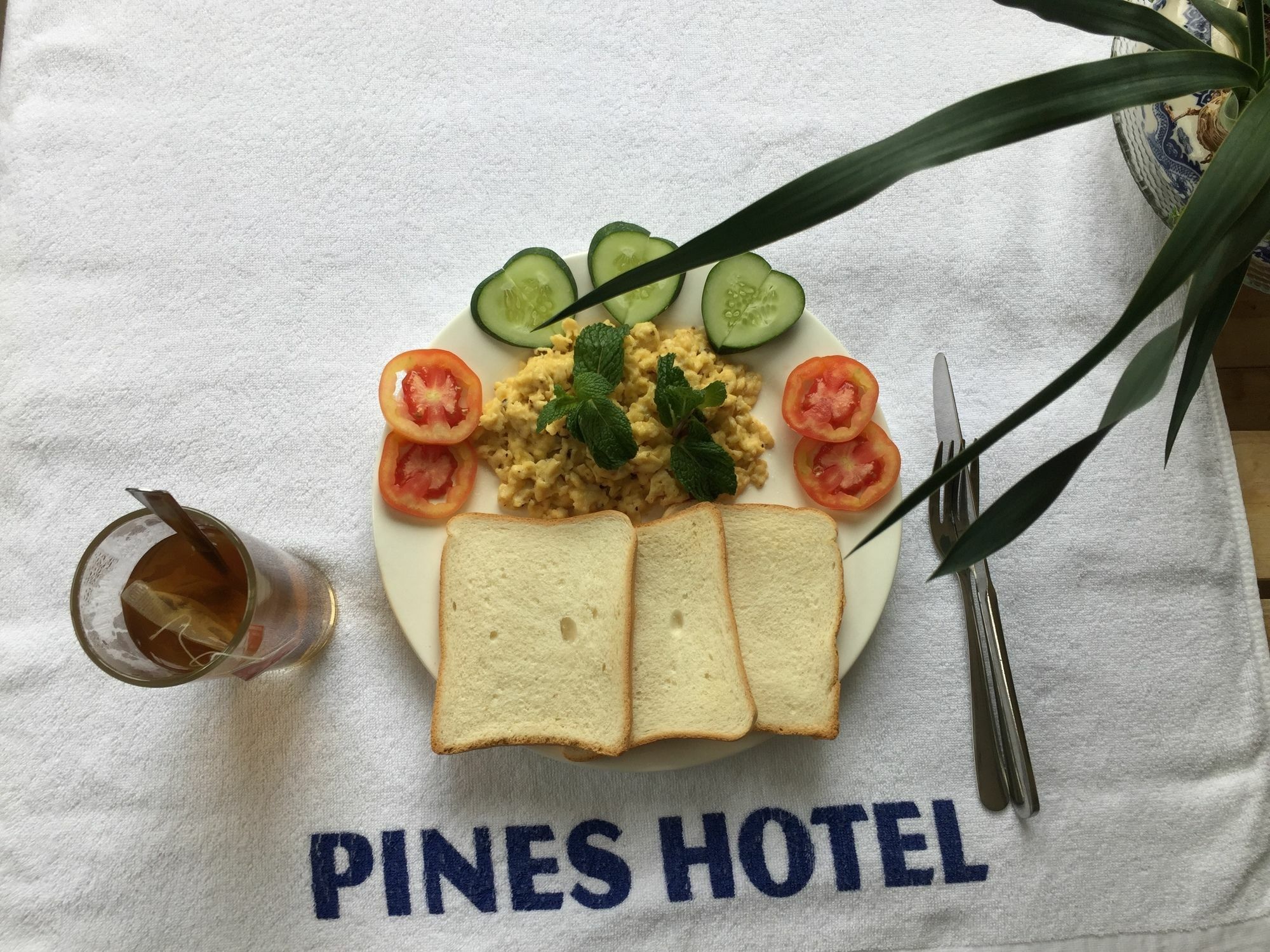 Pines Hotel Νταλάτ Εξωτερικό φωτογραφία